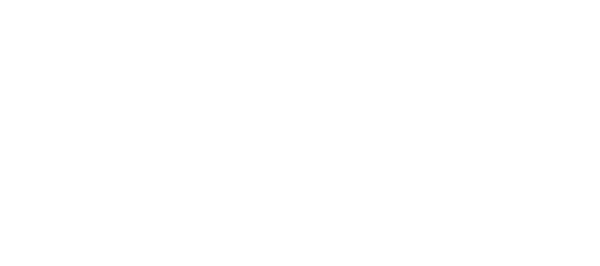 logo FAI